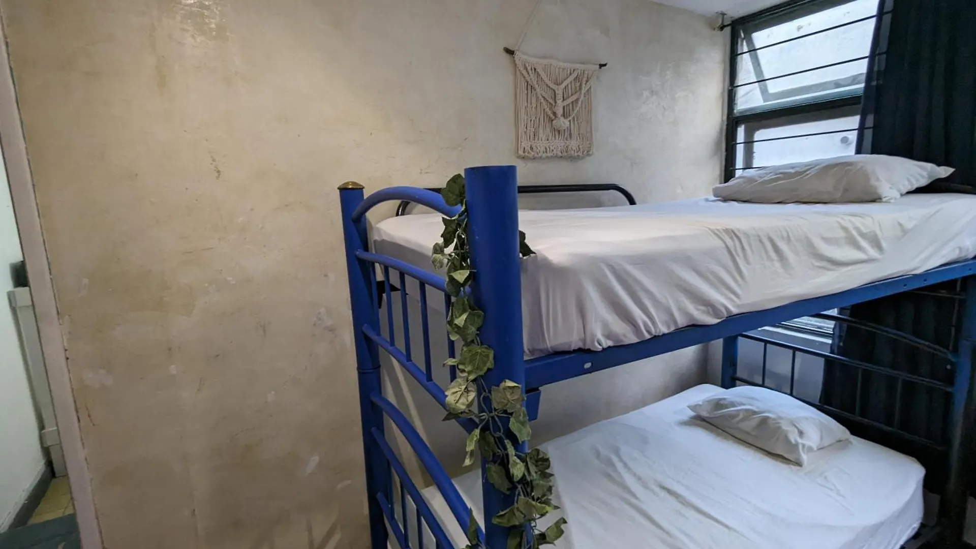 Bluepepper City Hostel Guadalajara Mexico