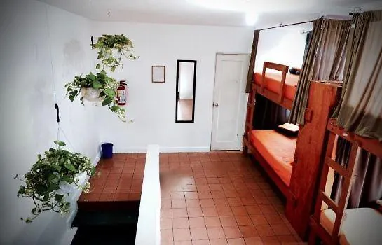 Bluepepper City Hostel Guadalajara Mexico