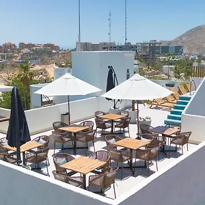 Colmena Marina Cabos Hotel Cabo San Lucas